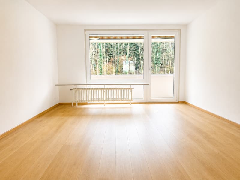 Grosszügige 5.5-Zimmer-Wohnung (3)