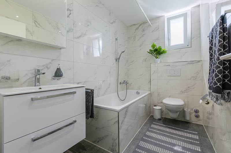 Charmante 1.5-Zimmer-Wohnung in Arbon – sofort verfügbar! (3)