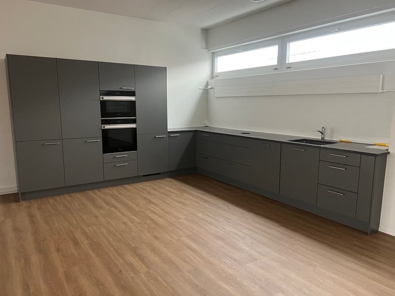 modern kitchen with gray cabinets, wooden floor, integrated oven, sink, faucet