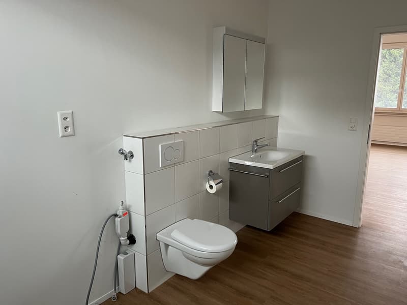 Bathroom: modern, white tiles, gray cabinet, white sink, toilet