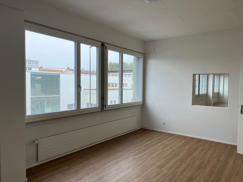 large windows, hardwood floors, white walls, large mirror, heating units