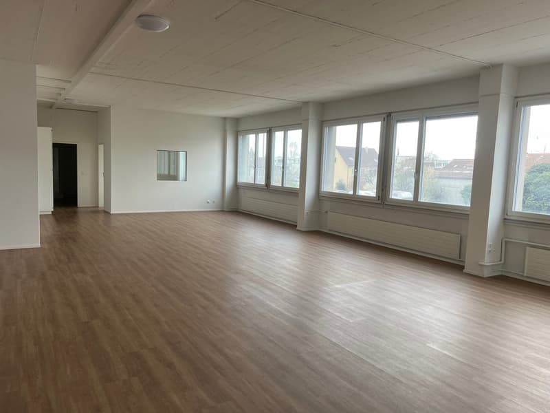 empty room, hardwood floor, white walls, large windows, two white radiators