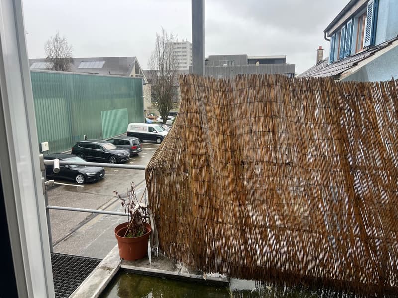 Car park, several parked cars, large bamboo privacy screen, potted plant