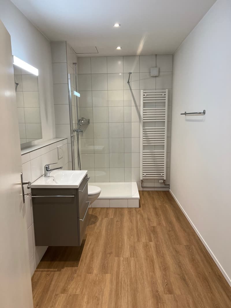 Bathroom with shower, toilet, sink, wooden floor, white walls, under-cabinet drawers, towel rack, and mirror