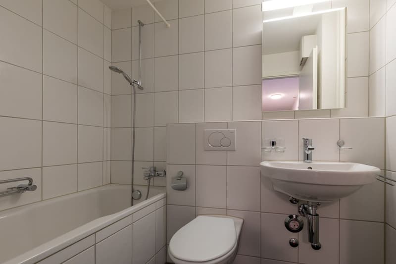 Joli appartement de 3 pièces, situé au centre, à louer immédiatement. (5)