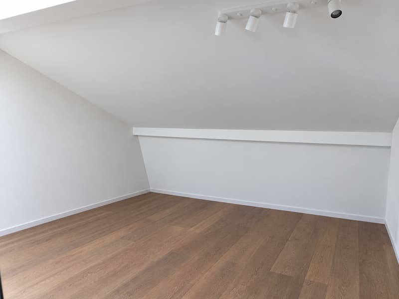 Grosszügige 5-Zimmer-Dachwohnung an der Stauffacherstrasse in Zürich (7)