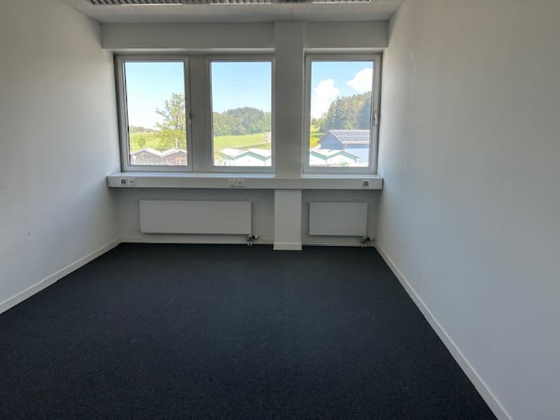 The image shows a spacious office room with large windows providing a scenic view of the surrounding landscape. The room has a plain white wall and a dark-colored carpet flooring. There are no other visible features or furniture in the room.