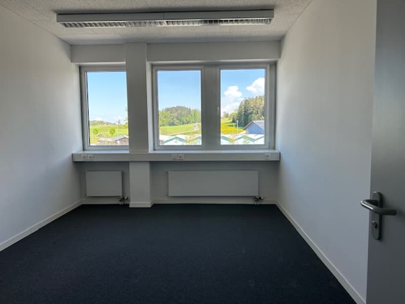 The image shows a spacious office room with large windows overlooking a scenic outdoor landscape. The room has gray walls, a dark-colored carpet floor, and built-in desks or countertops along the walls. The room appears to be a modern and well-lit office
