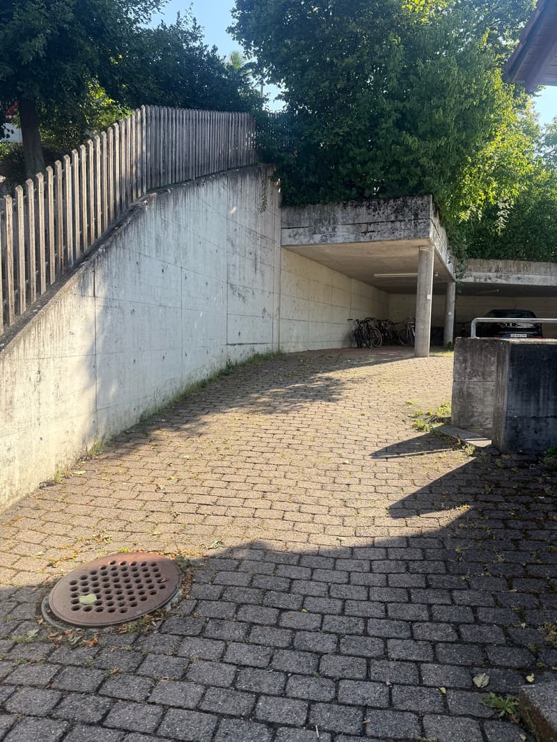 Covered parking spaces for rent (3)