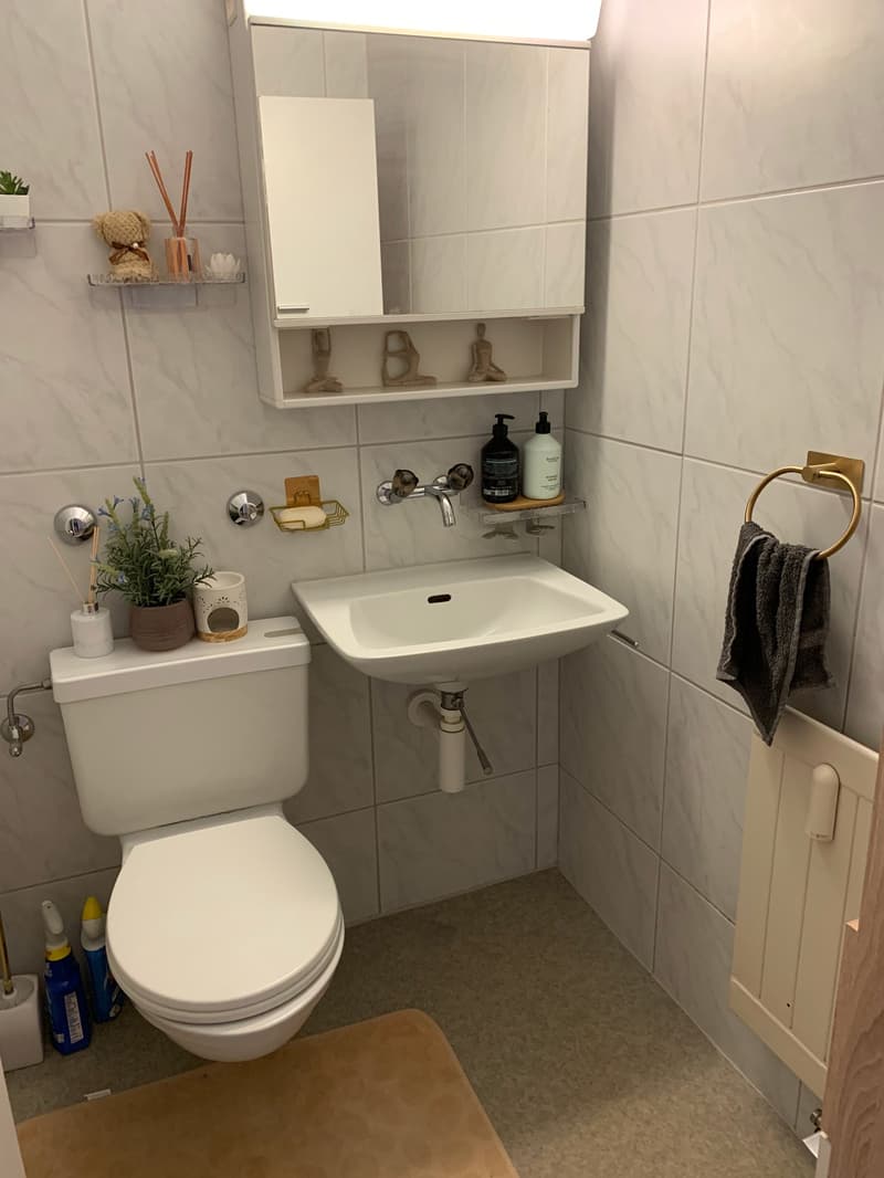 Helle 4.5-Zimmer-Wohnung mit Balkon in Lengnau (8)