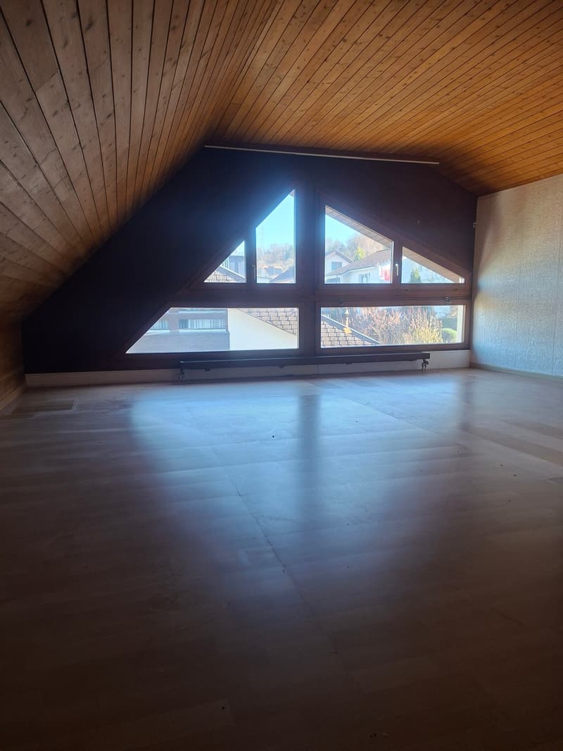 A house with character, development opportunities, and excellent future prospects (6)