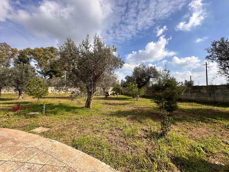 Beautiful Villa with Pool in the Heart of Salento - Cursi (54)