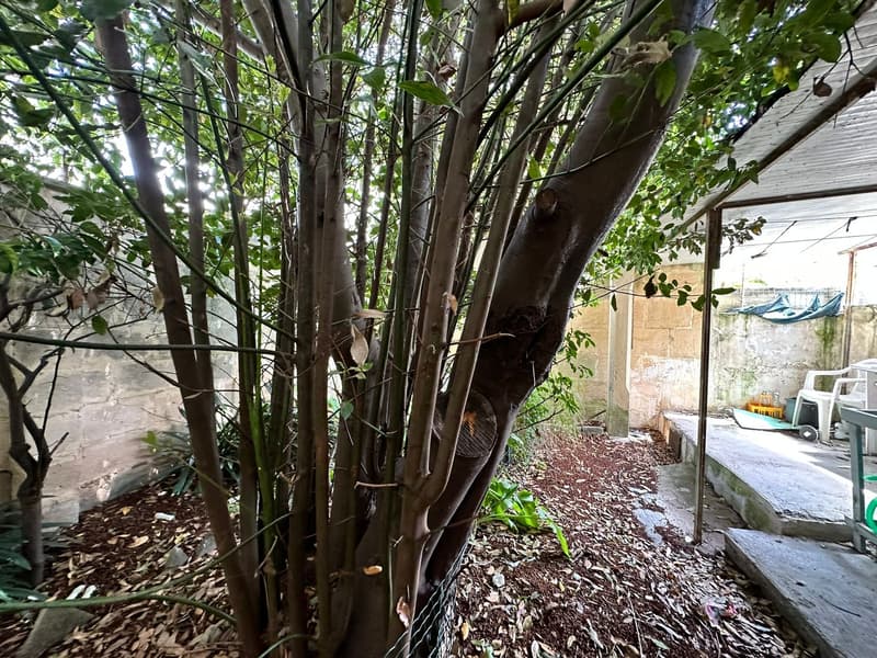 Fascinating Historic Villa for Sale in Maglie (2)
