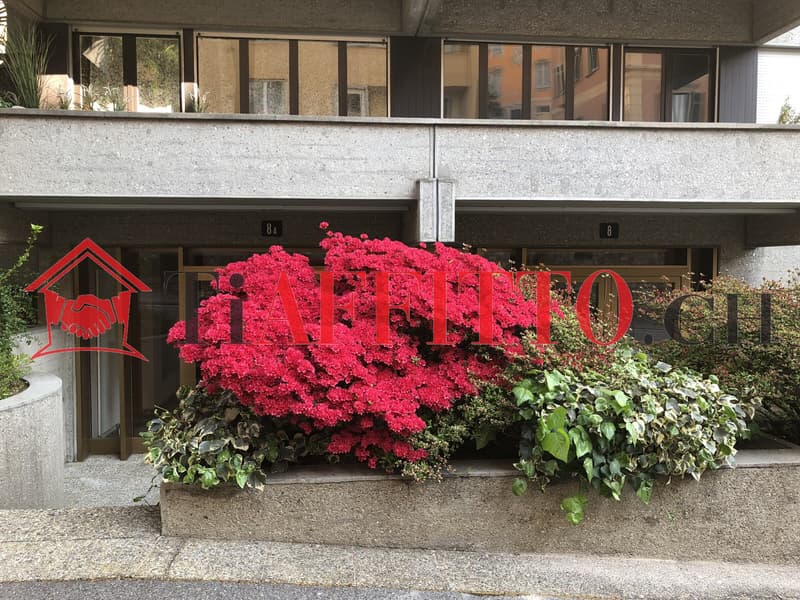 1.5 Rooms: Your Charming Studio in the Heart of Lugano (6)