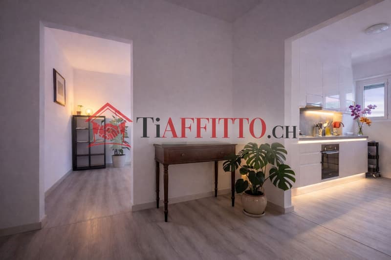 ENORMOUS 2.5-room apartment in Chiasso with a view - 3 months free (2)