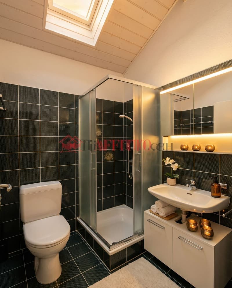 Elegant Attic 2.5 Rooms in the Heart of Lugano (4)