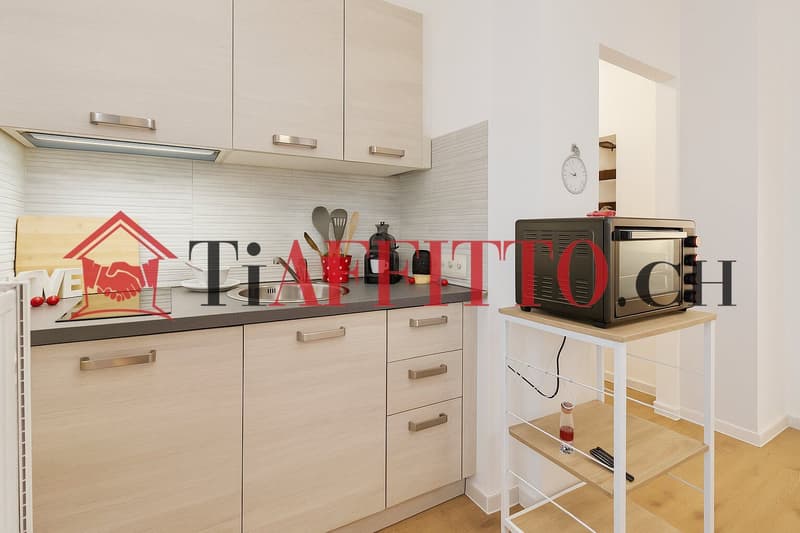 Funktionaler Einzimmerwohnung mit kleinem Balkon in Molino Nuovo (6)