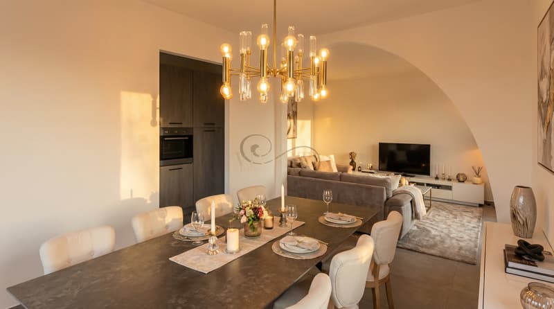 SPLENDIDE PROPRIÉTÉ BIFAMILIALE À GIUBIASCO (7)