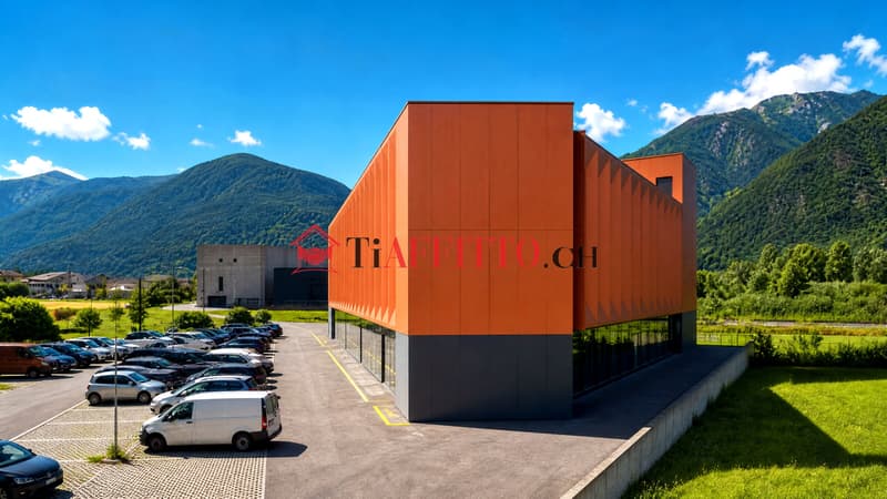 SUPERFICIE COMMERCIALE RIAZZINO-LOCARNO (3)