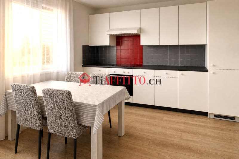 DUPLEX OF 4.5 ROOMS WITH PANORAMIC ROOFTOP TERRACE (3)