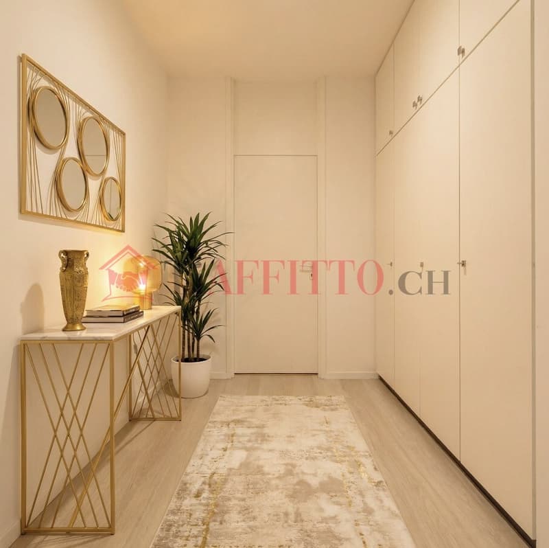 MONOLOCALE IN THE HEART OF LUGANO (3)