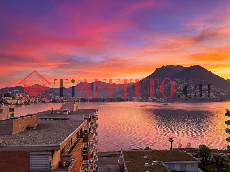 1,5 Zimmer möbliert mit Super-Seeblick in Paradiso (1)