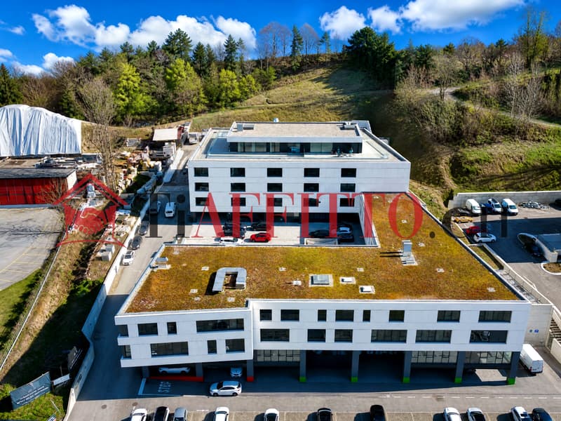 Einfach Büro in Castione (2)