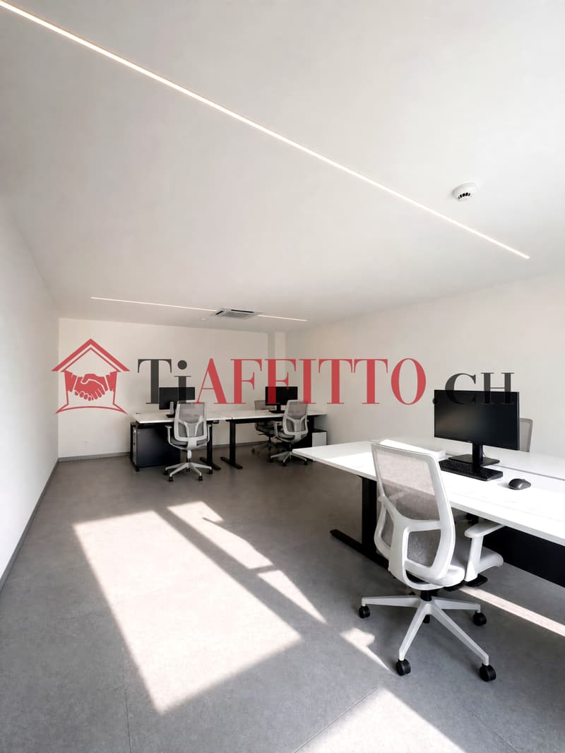 Einfach Büro in Castione (3)