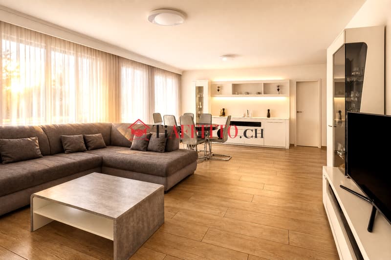 DUPLEX de 4,5 pièces avec terrasse panoramique sur le toit (2)