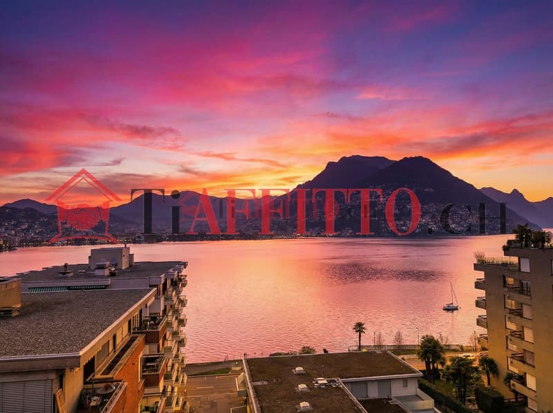 1,5 Zimmer Wohnung mit super Lake-View in Paradiso (4)