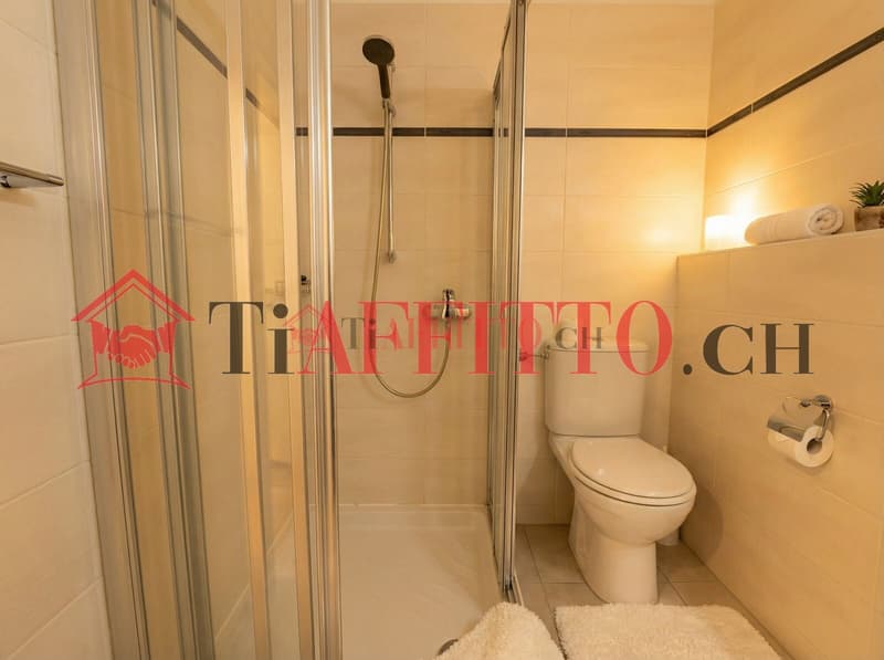 1,5 Zimmer Wohnung mit super Lake-View in Paradiso (7)