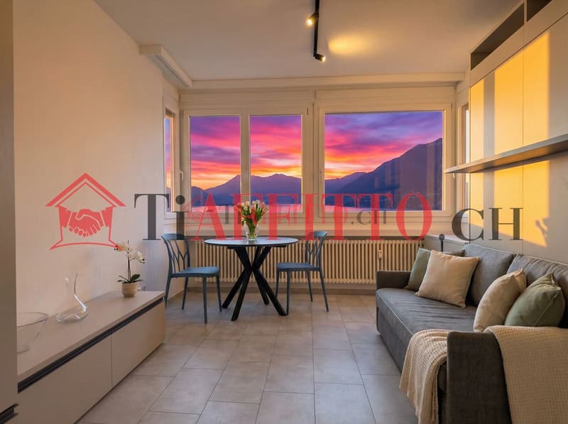 1,5 Zimmer Wohnung mit super Lake-View in Paradiso (2)