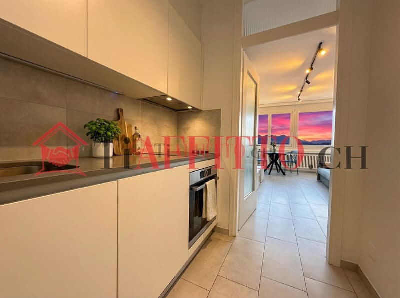 1,5 Zimmer Wohnung mit super Lake-View in Paradiso (3)