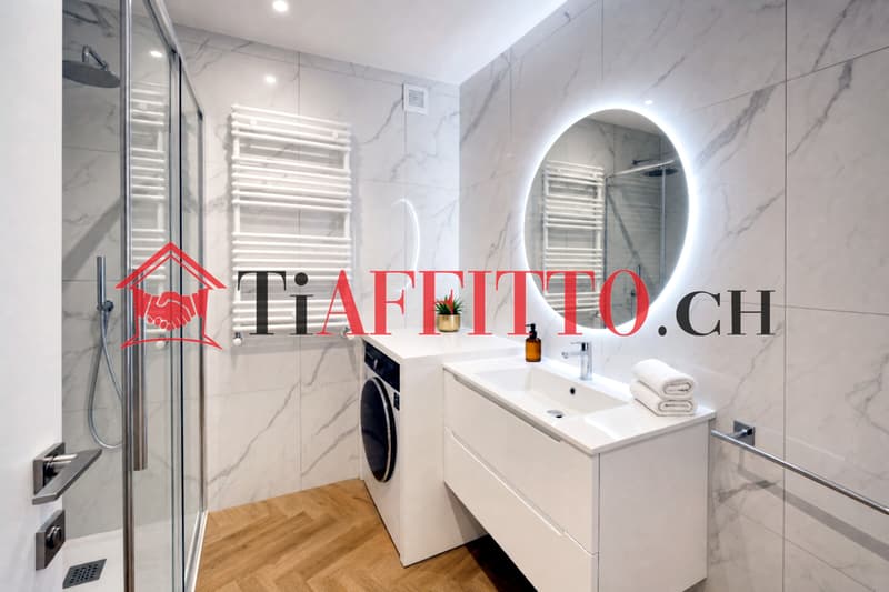 LOFT DE LUXE AMÉNAGÉ AU CŒUR DE LUGANO (8)