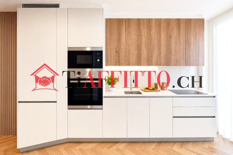 LOFT DE LUXE AMÉNAGÉ AU CŒUR DE LUGANO (4)