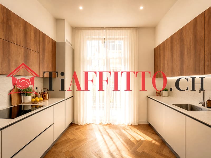 Un rêve appelé Lugano, 3.5 meublé au centre (5)