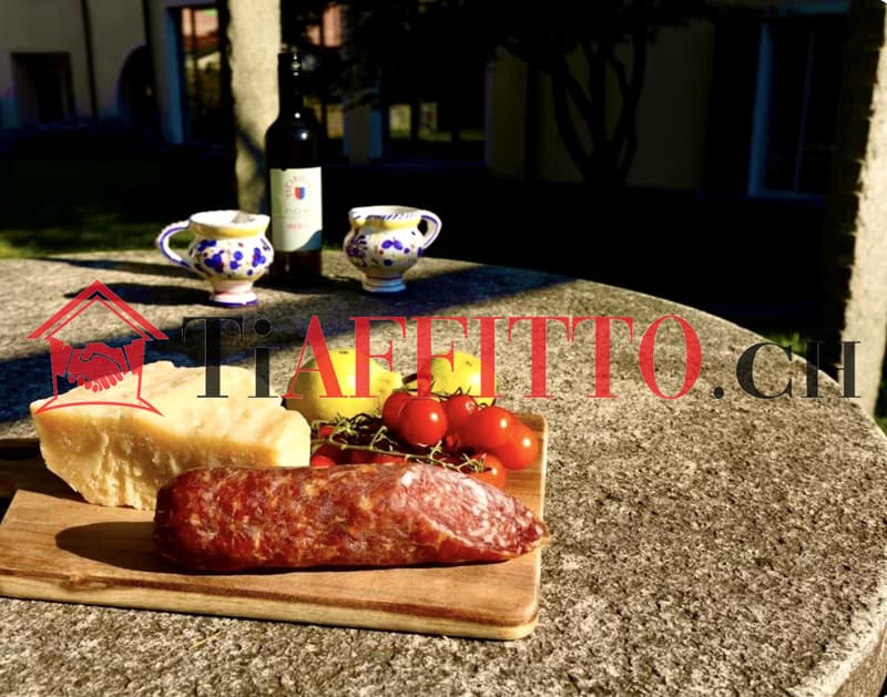 Appartement prestigieux de 5 pièces au pied du château Castel Grande (12)