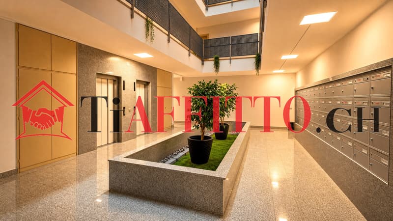 Tranquility and Light: 2.5 Rooms on the 7th Floor for 850 CHF (8)