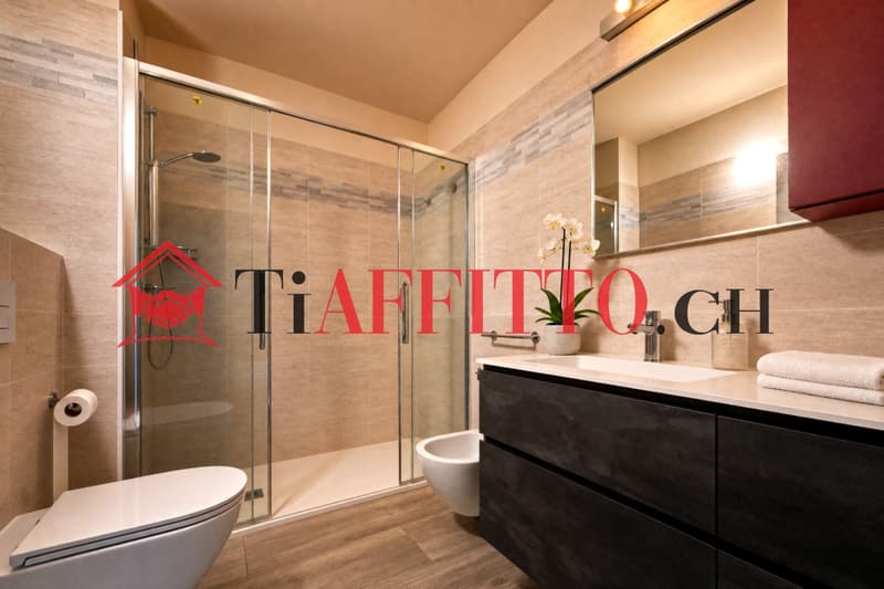 SPLENDIDES 4.5 ZIMMER IN LUGANO/MASSAGNO 140 MQ (3)