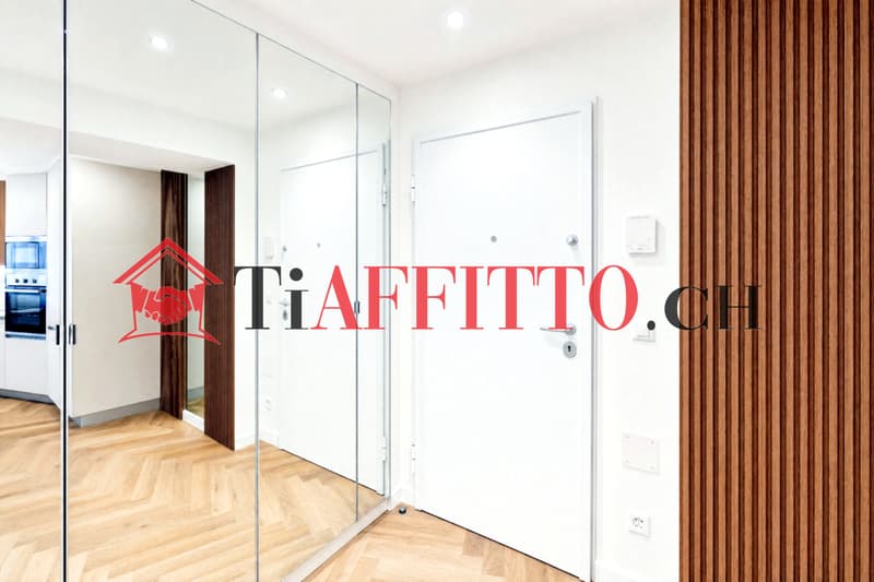 LUSSUOSO LOFT ARREDATO NEL CUORE DI LUGANO (5)