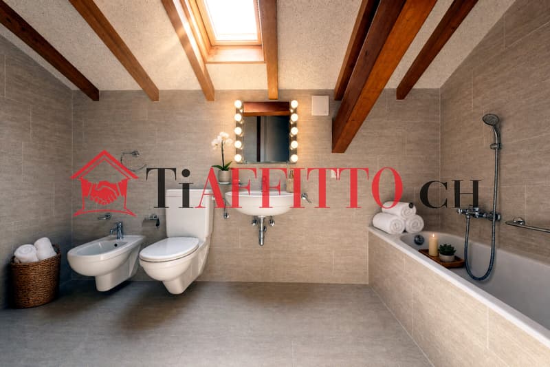 ENORME LOFT CON TERRAZZA VISTA SUI CASTELLI A BELLINZONA (5)