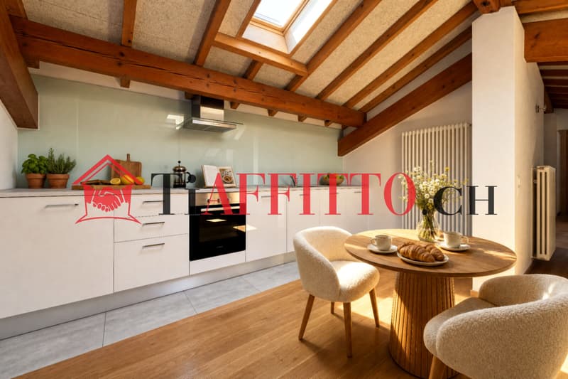ENORME LOFT CON TERRAZZA VISTA SUI CASTELLI A BELLINZONA (3)