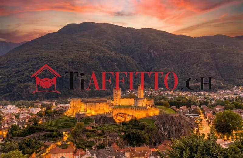 ENORME LOFT CON TERRAZZA VISTA SUI CASTELLI A BELLINZONA (6)