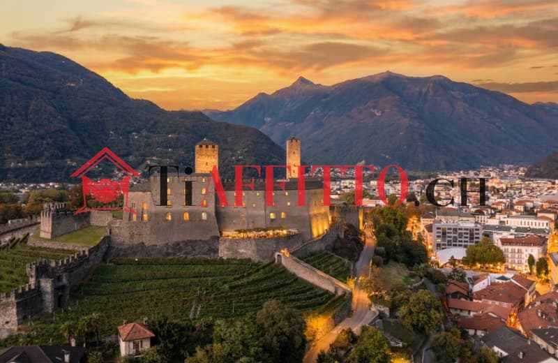 ENORME LOFT CON TERRAZZA VISTA SUI CASTELLI A BELLINZONA (11)