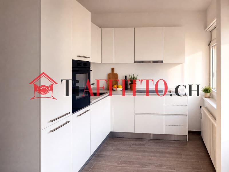 ACCOGLIENTE 2.5 A BELLINZONA (2)
