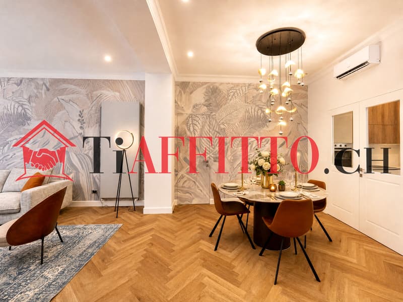 UN SOGNO CHIAMATO LUGANO, 3.5 ARREDATO IN CENTRO (3)