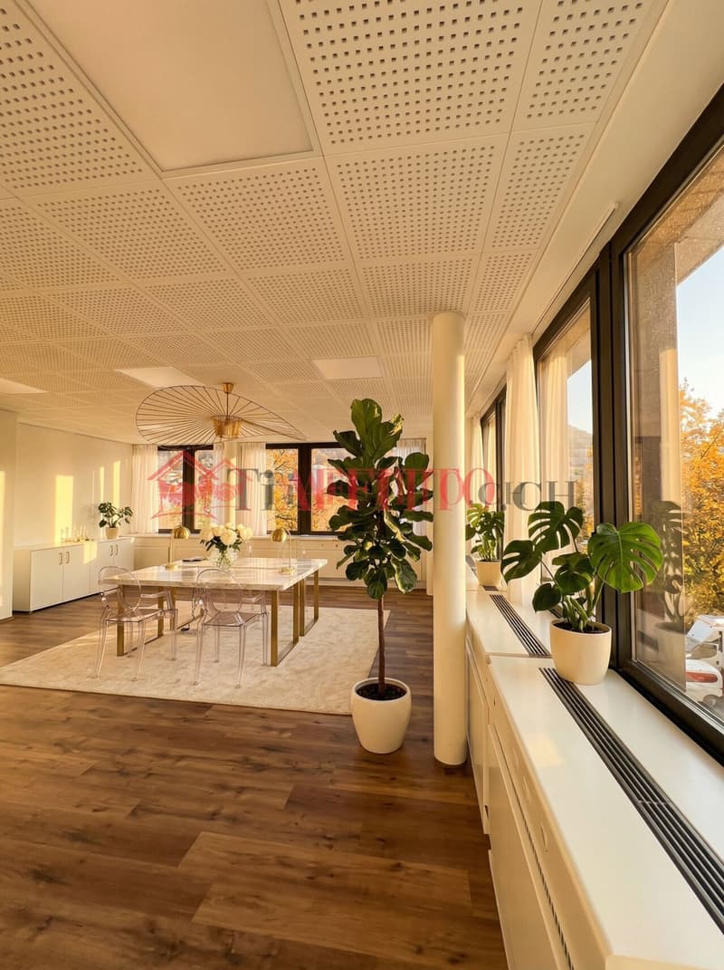 UFFICIO DI PRESTIGIO COMPLETAMENTE RISTRUTTURATO (1)