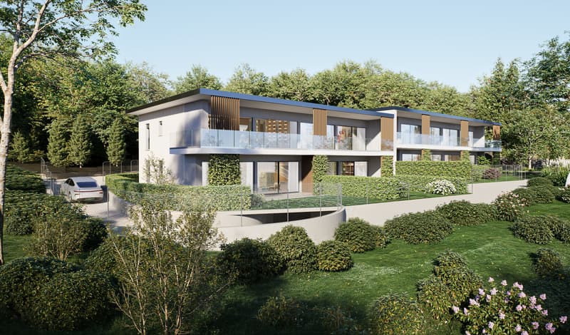 DUPLEX CON GIARDINO LUGANO (1)