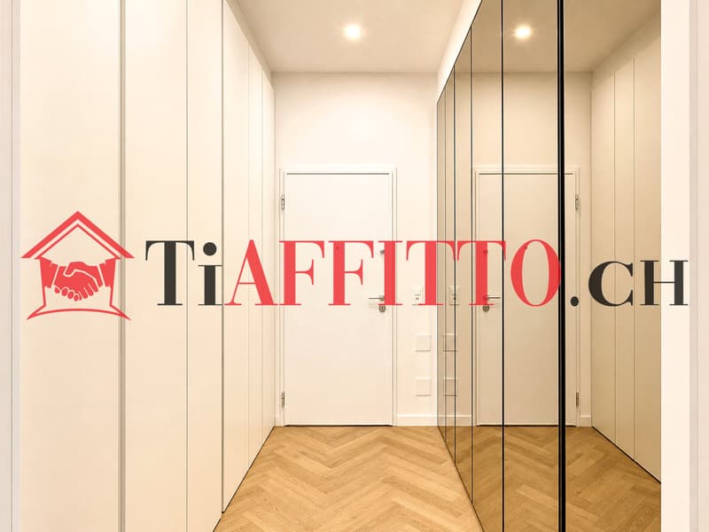 UN SOGNO CHIAMATO LUGANO, 3.5 ARREDATO IN CENTRO (11)