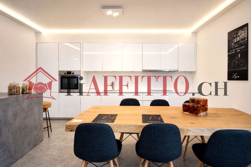 BELLINZONA SEMINE: MODERNO 3.5 LOCALI ARREDATO (2)